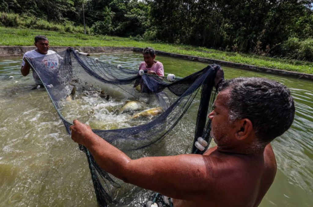 Projeto enquadra pequenos aquicultores como segurados especiais